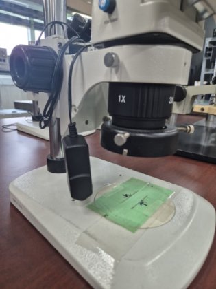 HWASUNG DISPLAY、モニター顕微鏡