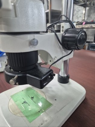 HWASUNG DISPLAY、モニター顕微鏡