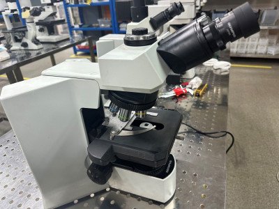 OLYMPUS、BX51TF、光学顕微鏡