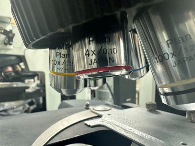OLYMPUS、BX51TF、光学顕微鏡
