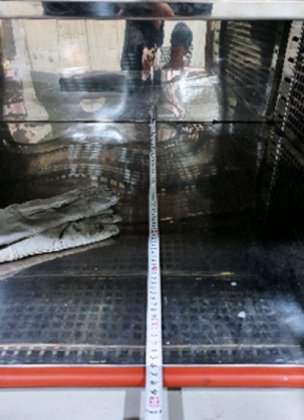 温度ショック室