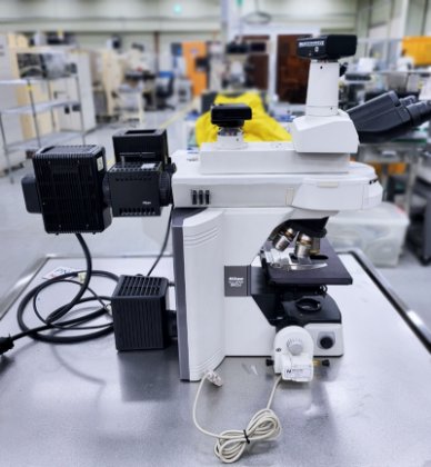 尼康，Eclipse80i，荧光显微镜