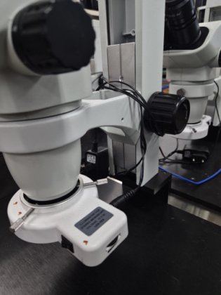 奥林巴斯，LED-56A，用于立体显微镜的照明装置