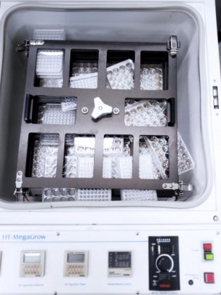 ビオネア、HT-メガグロウ、振とうインキュベーター