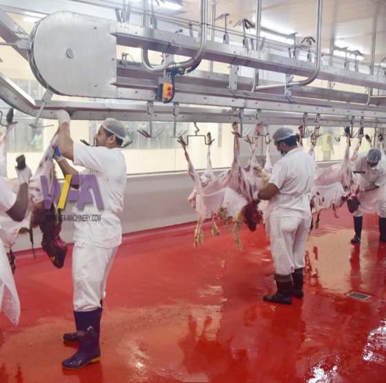 Complete Abattoirs Sheep Slaughterhouse Goat Dressing Line Automatic