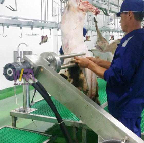 Modern Slaughterhouse Goat Abattoir Butchery Machine Sheep Dehiding