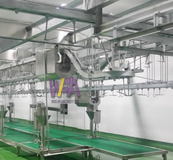Halal Complete Goat Slaughter Equipment Line Goat Slaughterhouse