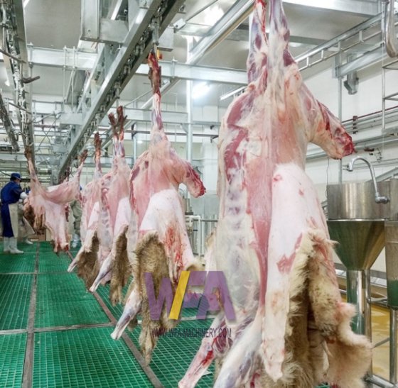 Halal Complete Goat Slaughter Equipment Line Goat Slaughterhouse