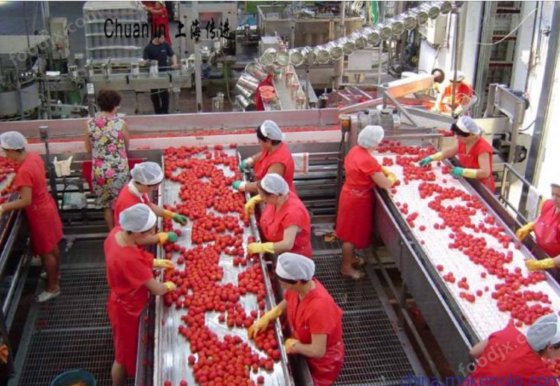 番茄酱马口铁灌装线