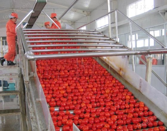 番茄酱灌装设备