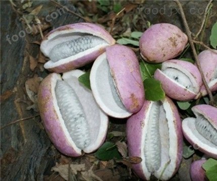 八月瓜土香蕉饮料设备