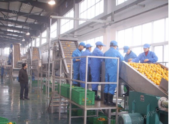 厂家直供冬瓜加工设备冬瓜茶饮料加工