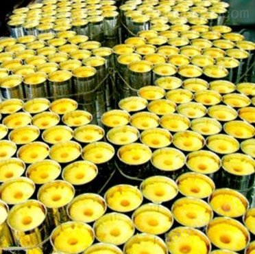 中小型菠萝汁加工设备生产线价格