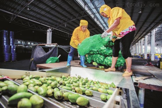 厂家供应芒果汁加工设备芒果汁设备生产线