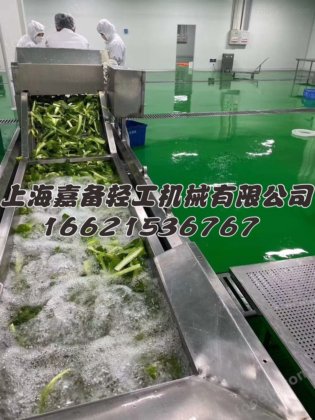 小型净菜设备 JC-111 上海嘉备轻工制造