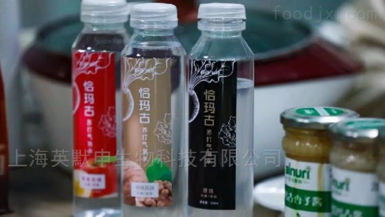 恰玛古饮料加工设备