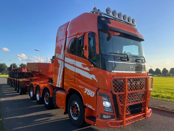 ゴールドホーファー THP / LTSO 16