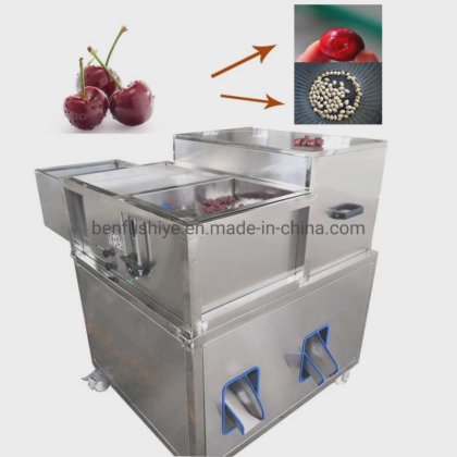 Small Capacity 304 Stainless Steel Cherry Olive Dates Pitting Machine ...