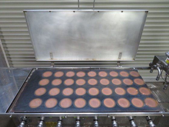 2010 株式会社 アラハタフードマシン ガス式