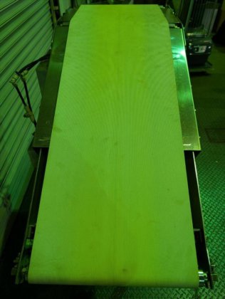 (株)テムス　傾斜L型コンベヤ