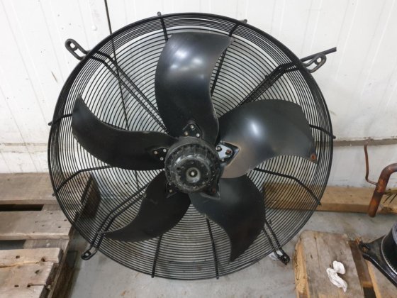 ツァイール・アベッグ