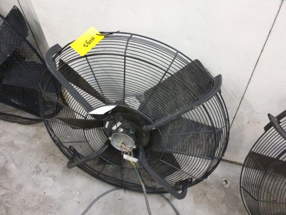 ツァイール・アベッグ