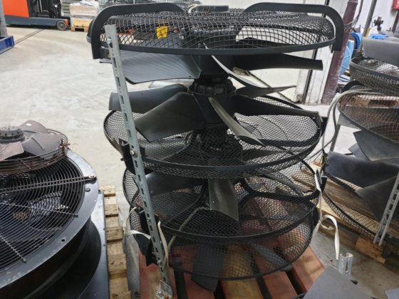 ツァイール・アベッグ