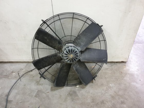 ツァイール・アベッグ