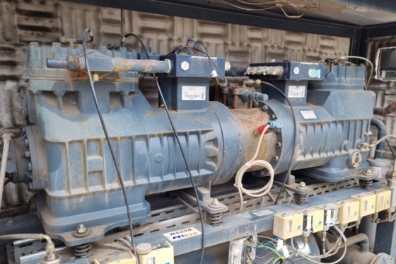 Gelpha 8GR31.3X（x2）