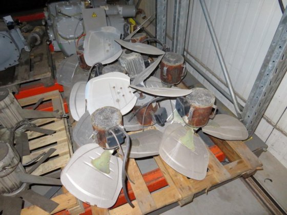 勒罗伊·索默 D29