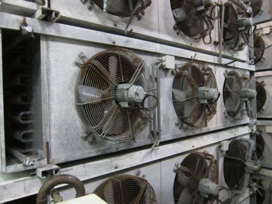 ゴッドハート VC 83457 E