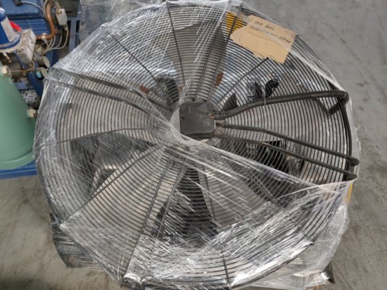 ツァイール・アベッグ