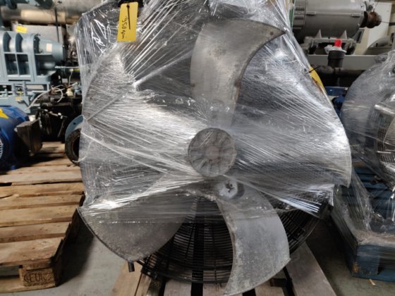 ツァイール・アベッグ