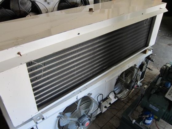 ゴッドハート VC 62507 E