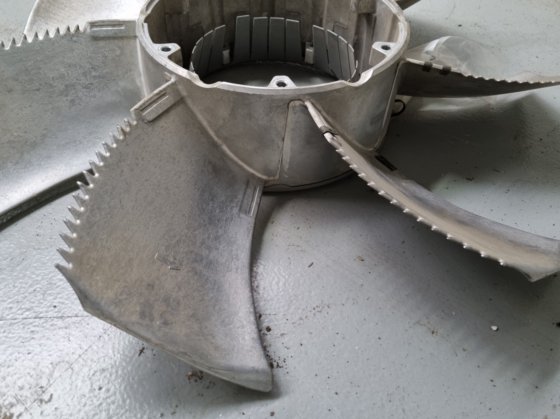 ツァイール・アベッグ