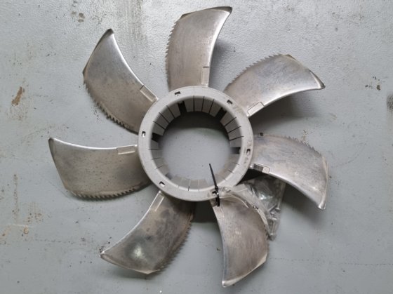 ツァイール・アベッグ