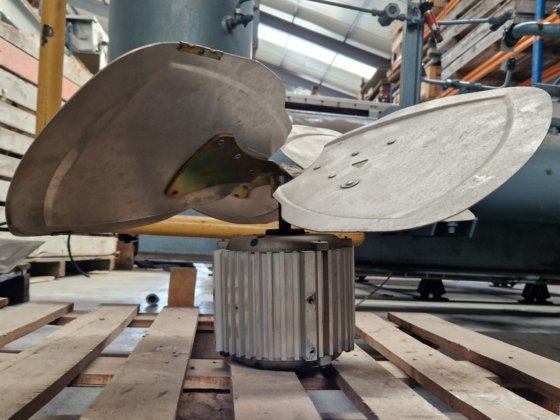 莱罗伊·桑默 CF29/T