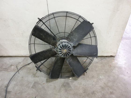 ツァイール・アベッグ