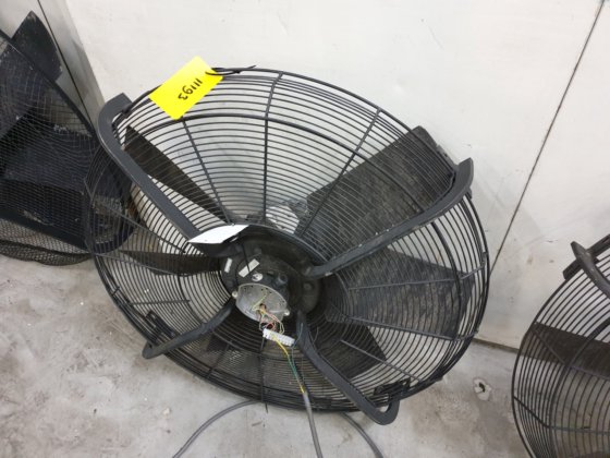 ツァイール・アベッグ