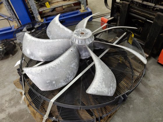 ツァイール・アベッグ