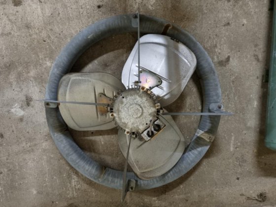 レロイ・ソマー CF29