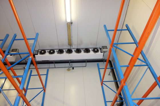 Helpman LFXI 276-7GL