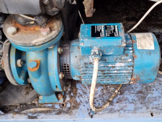 蓝盒/西方香弥 ST802