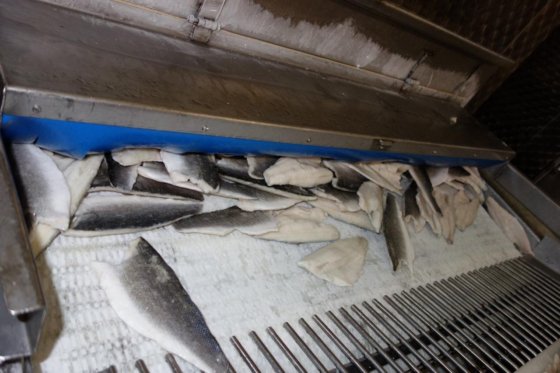 GTI LN1 隧道式冷冻机