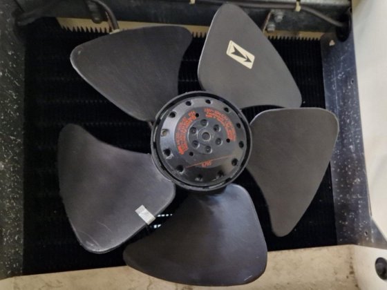 フリガ・ボーン CK032L