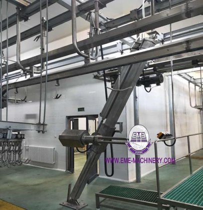 用于山羊屠宰场屠宰设备的整套绵羊屠宰机胴体剥皮机