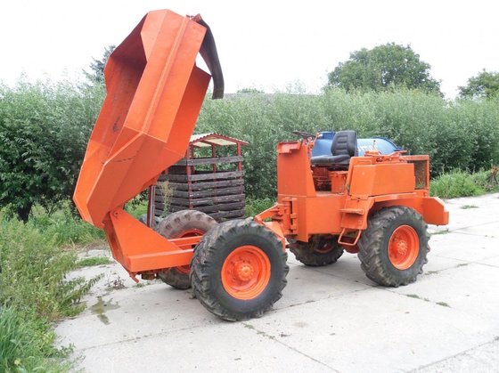Paus wieldumper ? in Noordeloos,