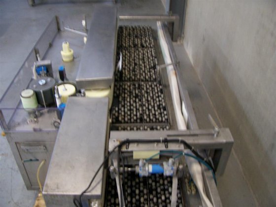 1854 complete-cheese-processing-line