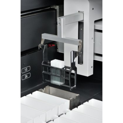 KD-R500 组织染色机