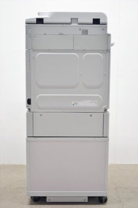 RICOH 19295